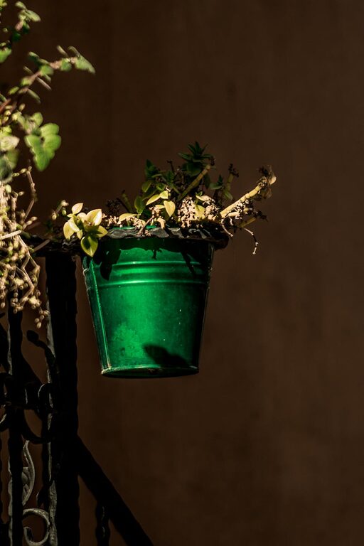 Tips for Creating a Sustainable Garden in Small Urban Spaces